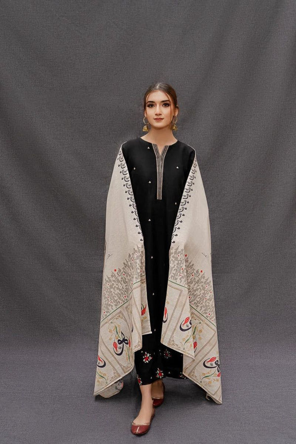 Embroided Dhanak 3PC D#8