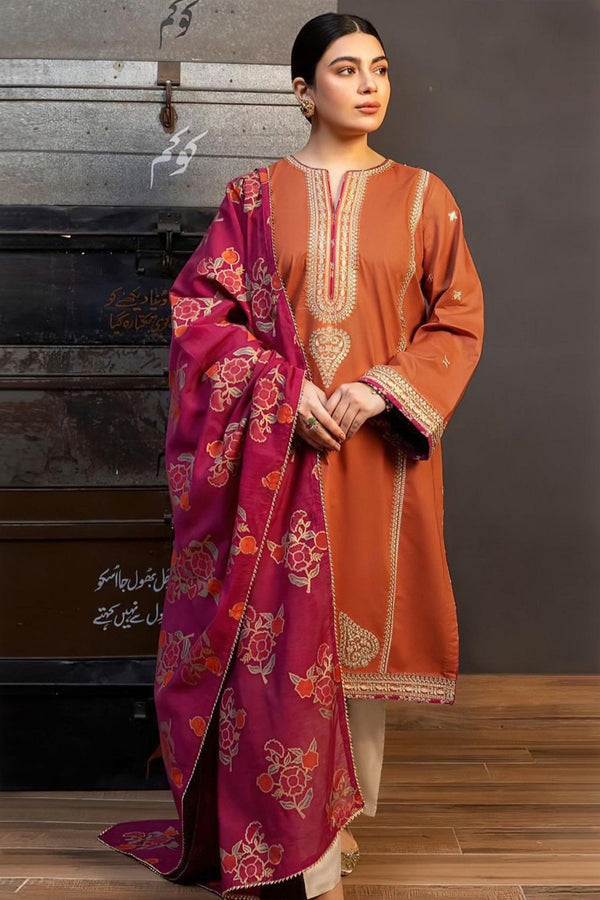 Embroided Dhanak 3PC D#19
